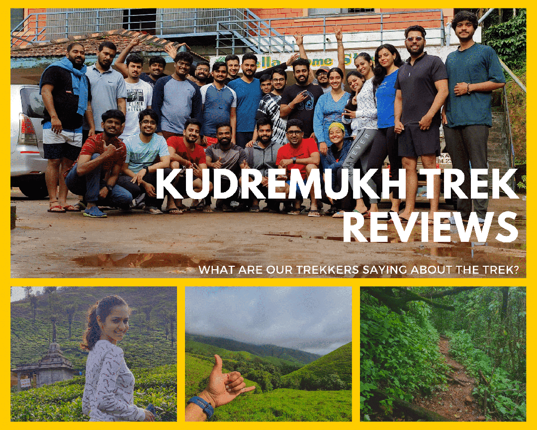 Kudremukh Trek Reviews: What Do Our Trekkers Have to Say About Kudremukh Trek? | Plan the Unplanned