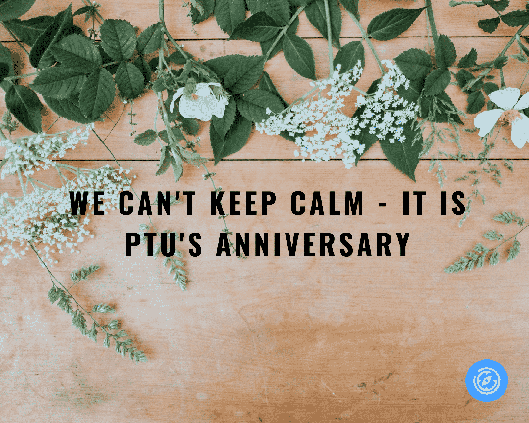 Throw a Party and Dance in Excitement, It Is Plan the Unplanned's Anniversary! | Plan the Unplanned