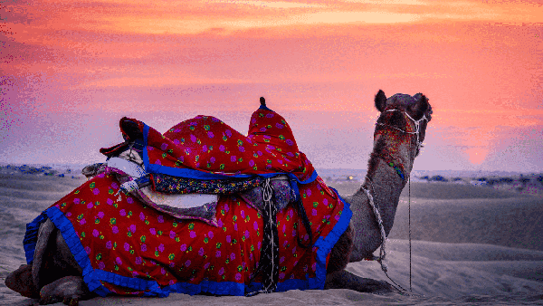 Rajasthan Tour thumbnail 3