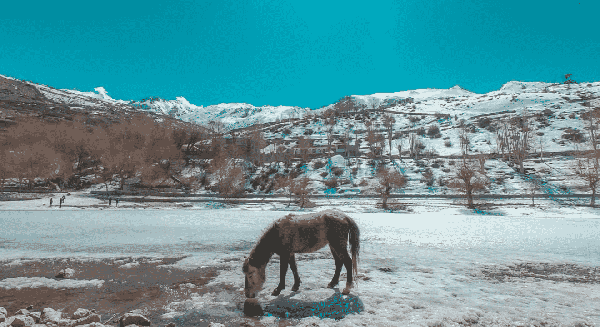 Spiti Valley Road Trip in Winter photo 4