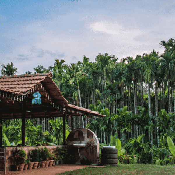 Dandeli Adventure Trip photo 3