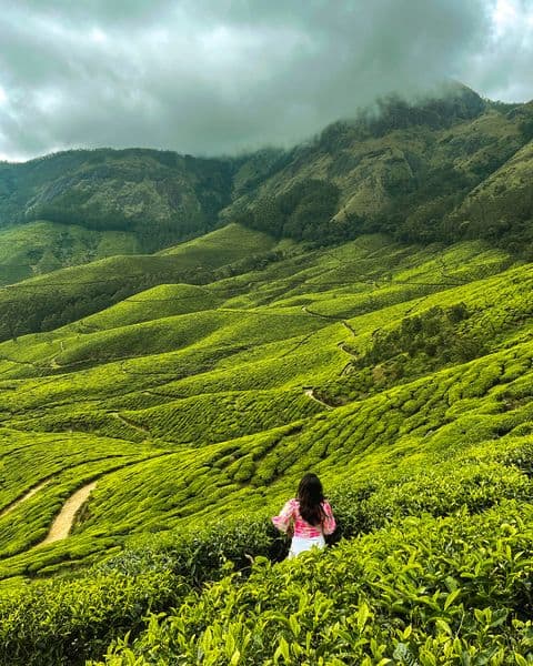 Munnar Backpacking Trip photo 3