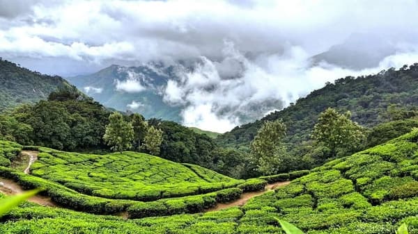 Munnar Backpacking Trip thumbnail 2