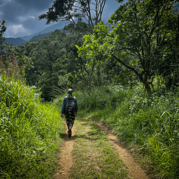 Banasura Hill Trek & Camping - Wayanad