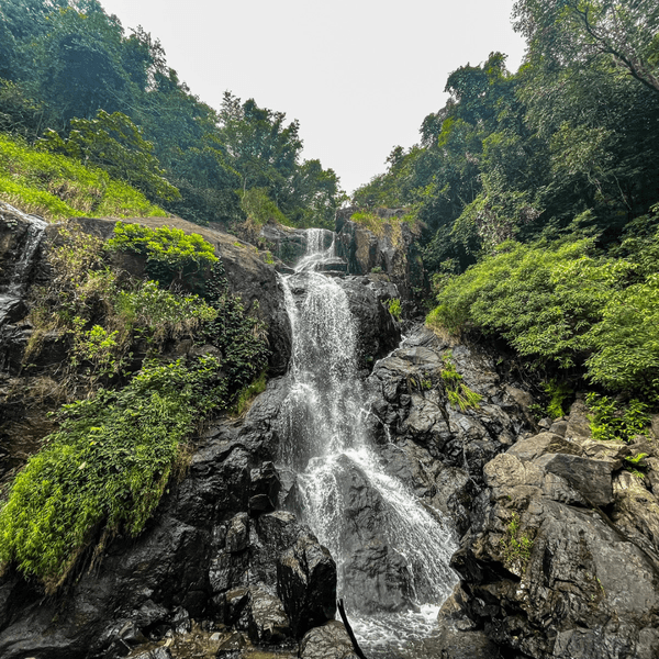 Banasura Hill Trek & Camping - Wayanad
