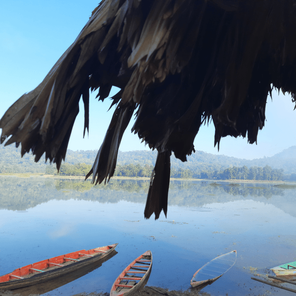 Jungle Trek and Offbeat Assam Trip photo 3