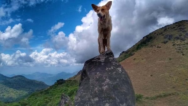 Tadiandamol Coorg Trek