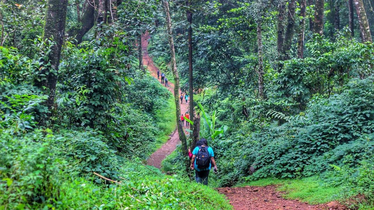 Kopatty Coorg Trek | Plan the Unplanned