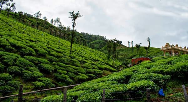 Kudremukha Trek