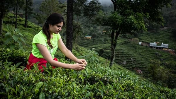 Kotagiri Trek – Camp Amidst The Nilgiri Hills photo 4