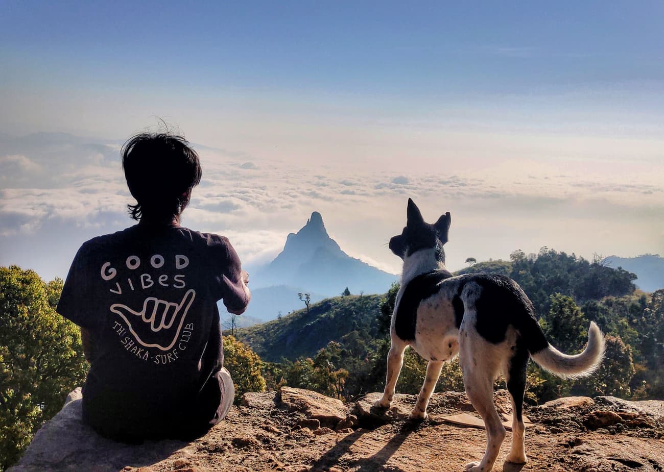 Camp Amidst The Nilgiris Valley