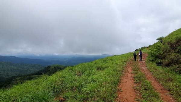 Kurinjal Peak Trek photo 1