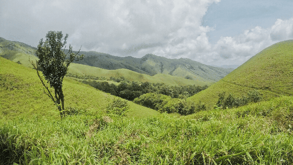 Kudremukh New Year Trek photo 3