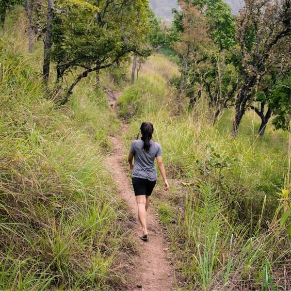 Kodaikanal Trek and Camping