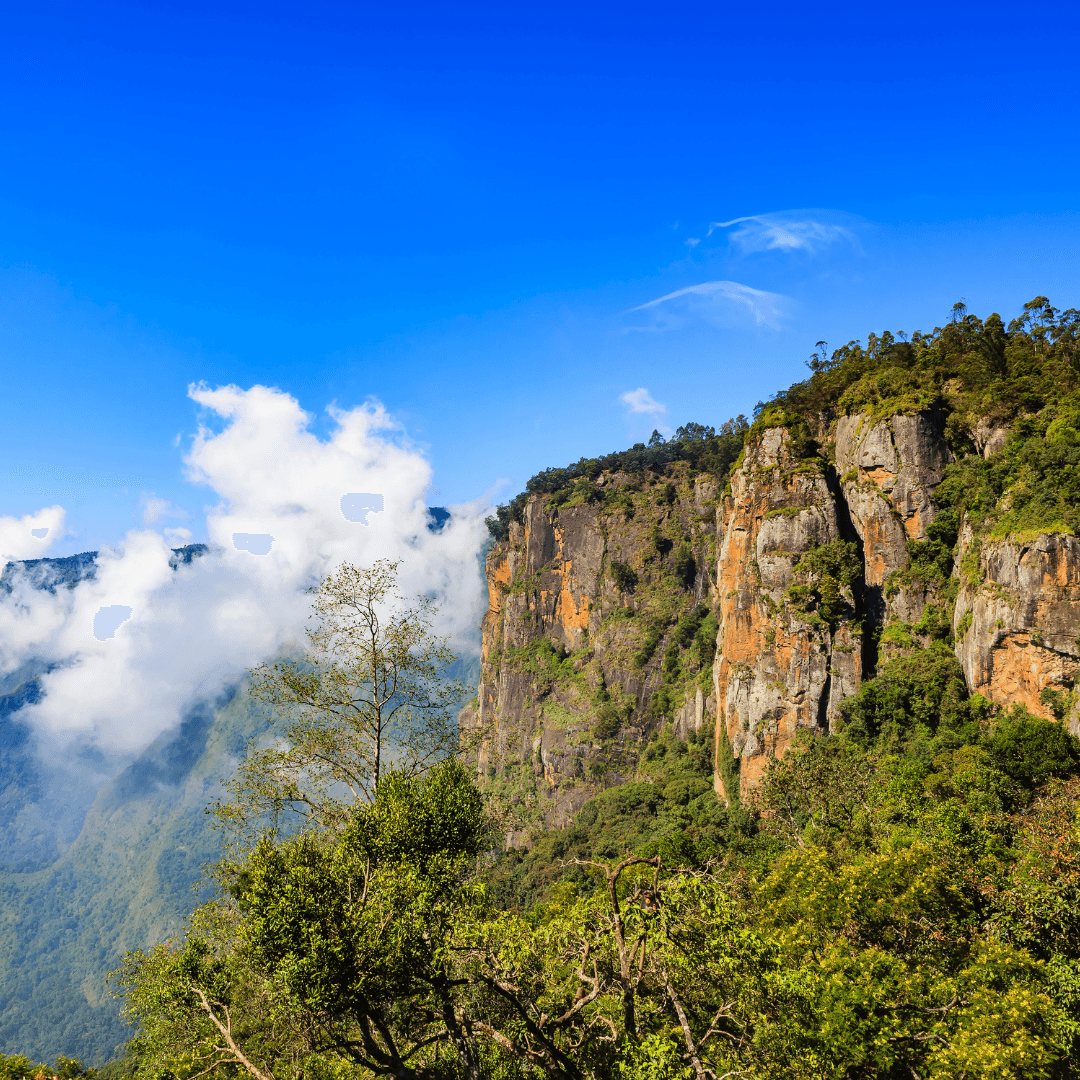 Kodaikanal - Poombarai Offbeat Adventure Trip | Plan the Unplanned