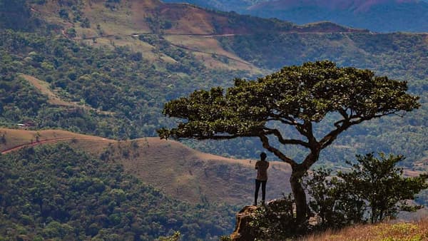 Kotebetta Coorg Trek photo 3