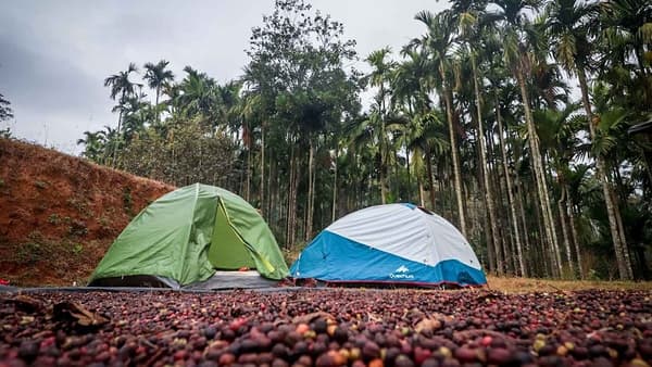 Kotebetta Coorg Trek thumbnail 2