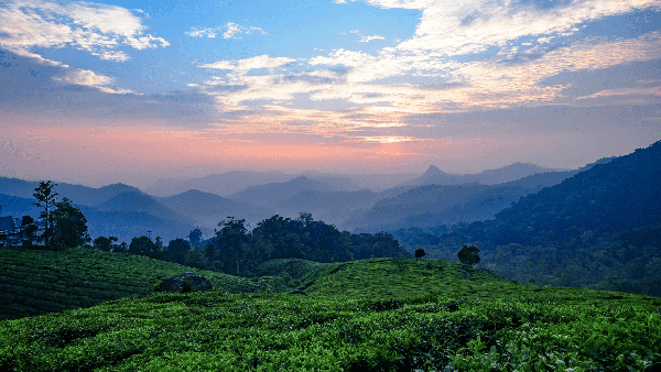 Vattavada Munnar Trek and Camping thumbnail 2