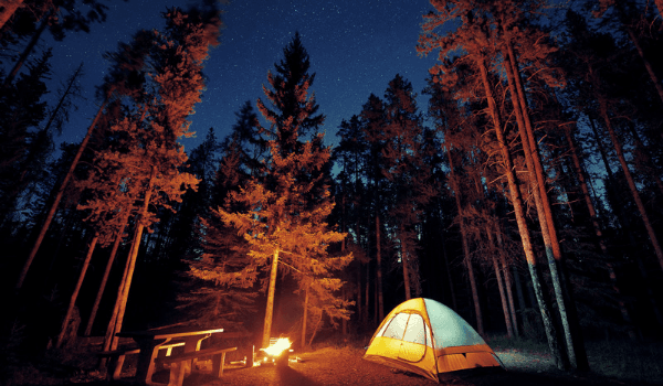 Brahmagiri Peak Trek & Camping - Wayanad Brahmagiri Peak Trek & Camping - Wayanad