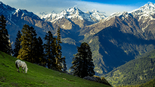 Kasol Tosh Trip photo 3