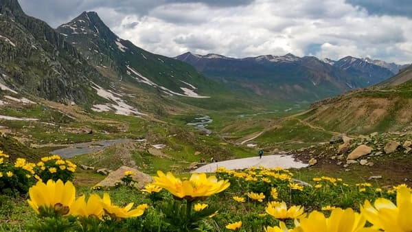 Kashmir Great Lakes Trek