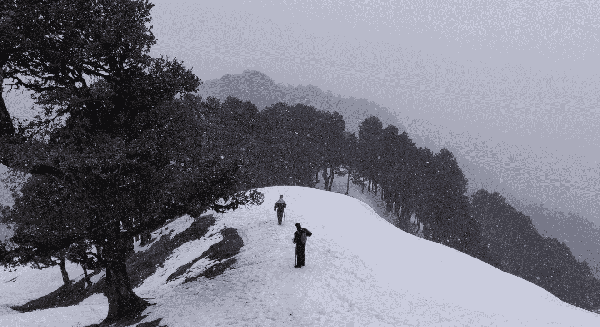 JIBHI Road Trip thumbnail 2