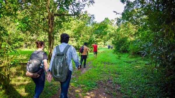 Agumbe Exploration thumbnail 2
