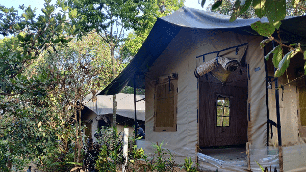 Brahmagiri Peak Trek & Camping - Wayanad photo 3