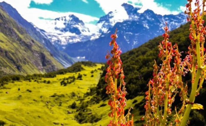 Dzukou Valley Trek- A Priceless Adventure in Nagaland Adventure in Nagalands Adventure in Nagaland