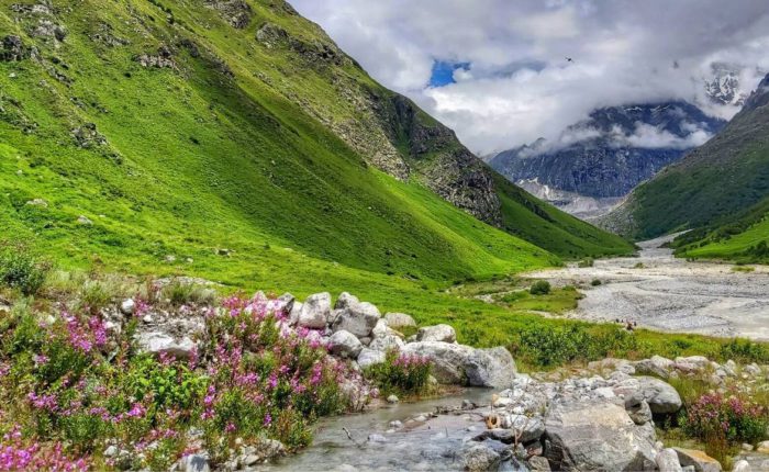 Valley of Flowers Trek – Plan The Unplanned – 3 Valley of Flowers- The King of Colorful Vacations