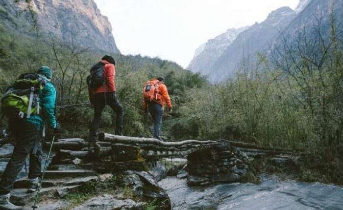1 Trek & Travel Insurance