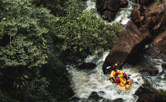 guide to dandeli