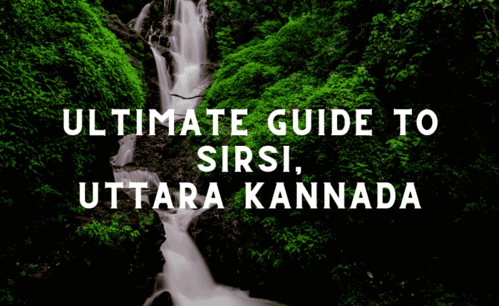 Ultimate guide to Sirsi