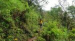 Nethravathi Peak_Plan The Unplanned_4