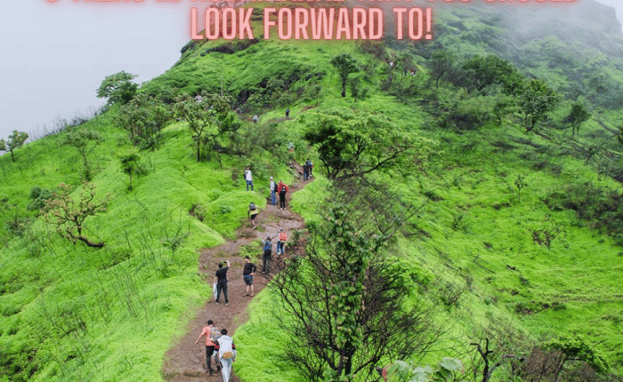 9 Treks in Kodaikanal That You Should Look Forward To! Trekking In Kodaikanal Plan The Unplanned