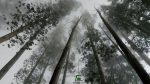 Pine Forest Trek Kodaikanal Plan The Unplanned