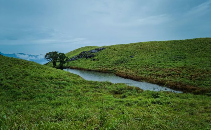 Wayanad Honeymoon destination