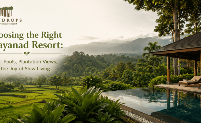 best-wayanad-resort-slow-living-banner (1) A scenic view of a plantation resort in Wayanad designed for slow living.