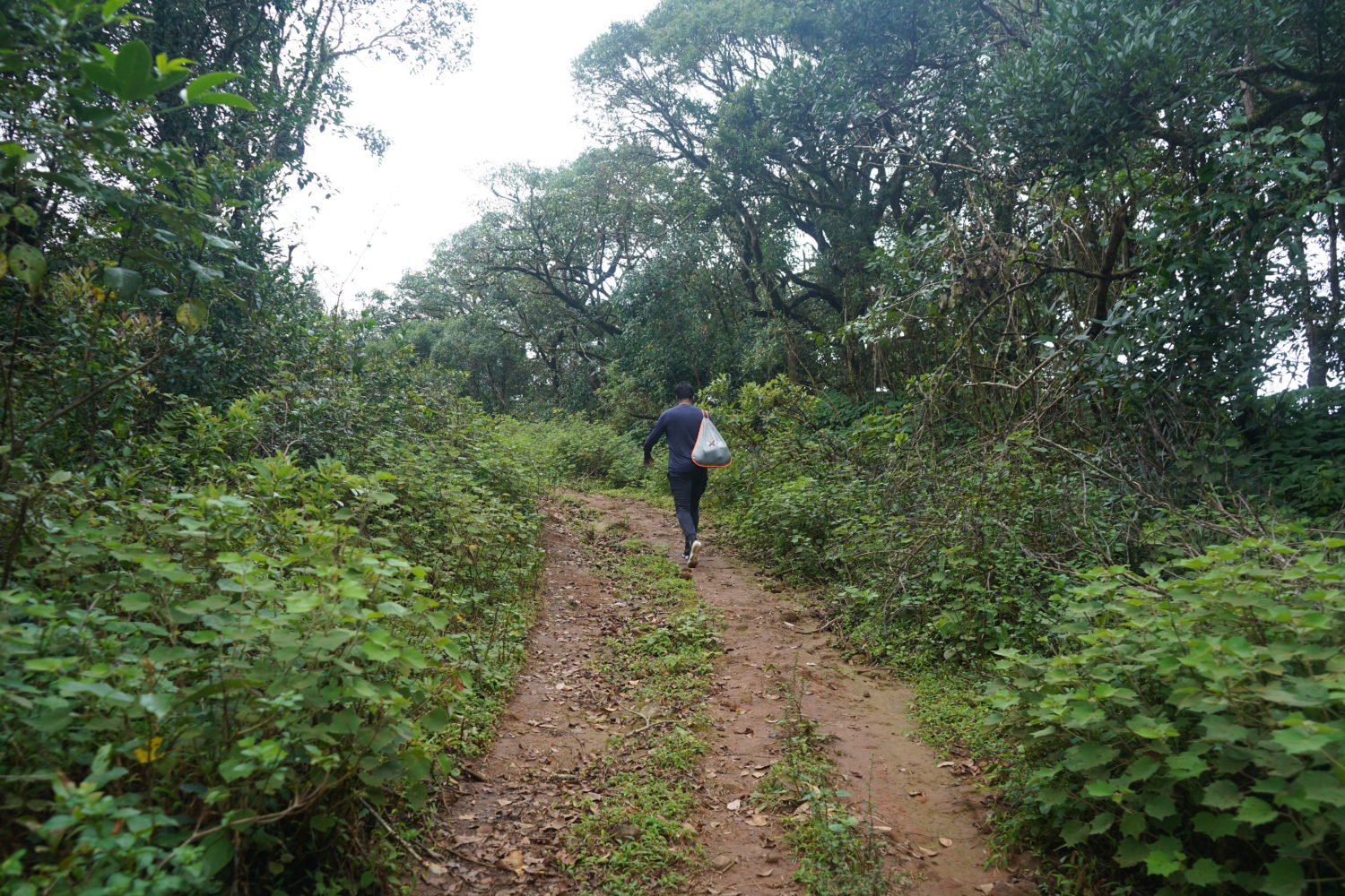 5 Reasons why you should do Shepherd's Trail Trek in Coorg