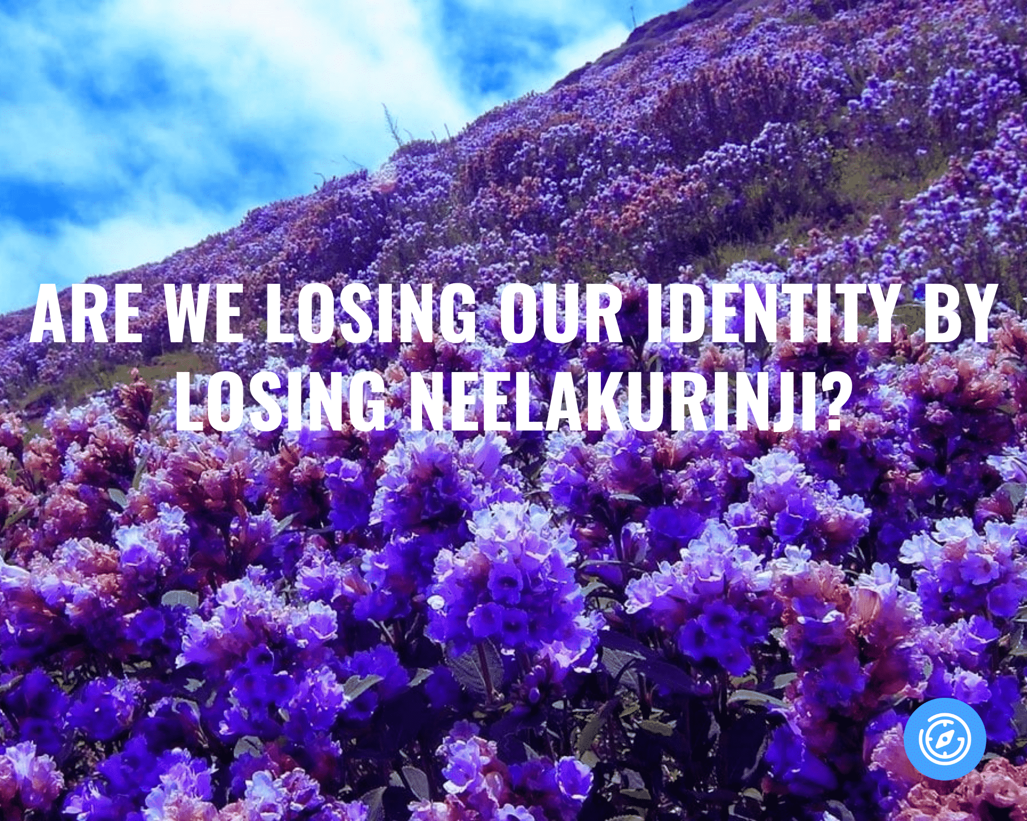 Neelakurinji Plant 7 Reasons Why It Needs Our Attention At The Earliest 