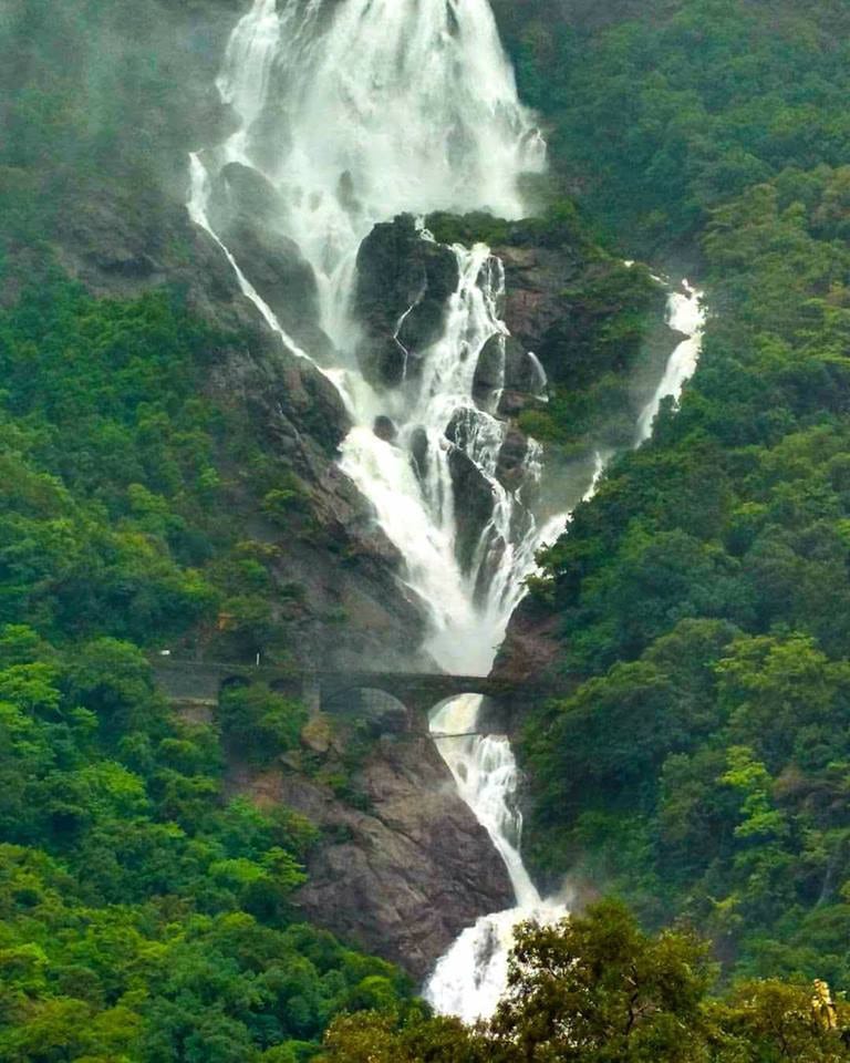 dudhsagar waterfall trek photos