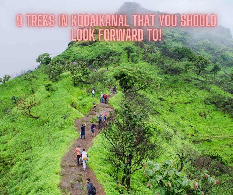 uti kodaikanal trip