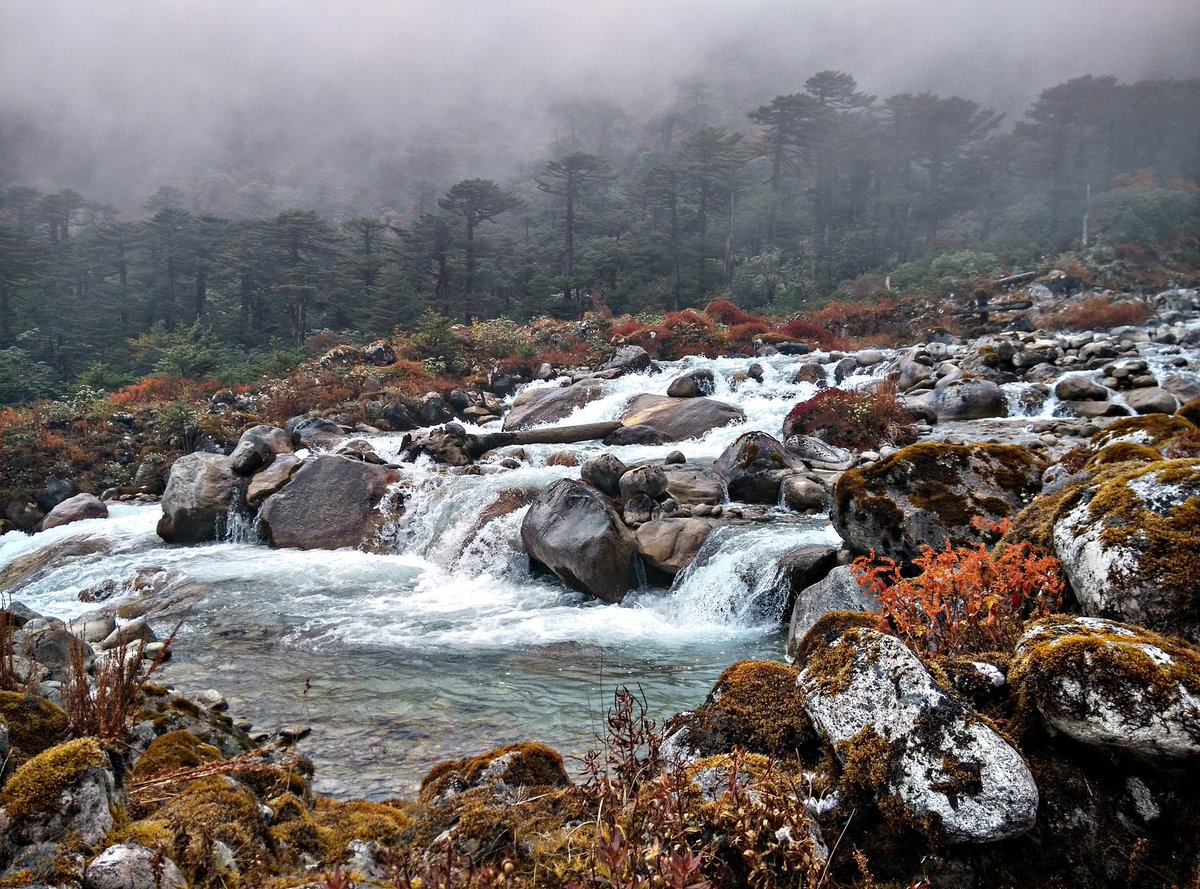 Kokchurung Sikkim | Plan The Unplanned